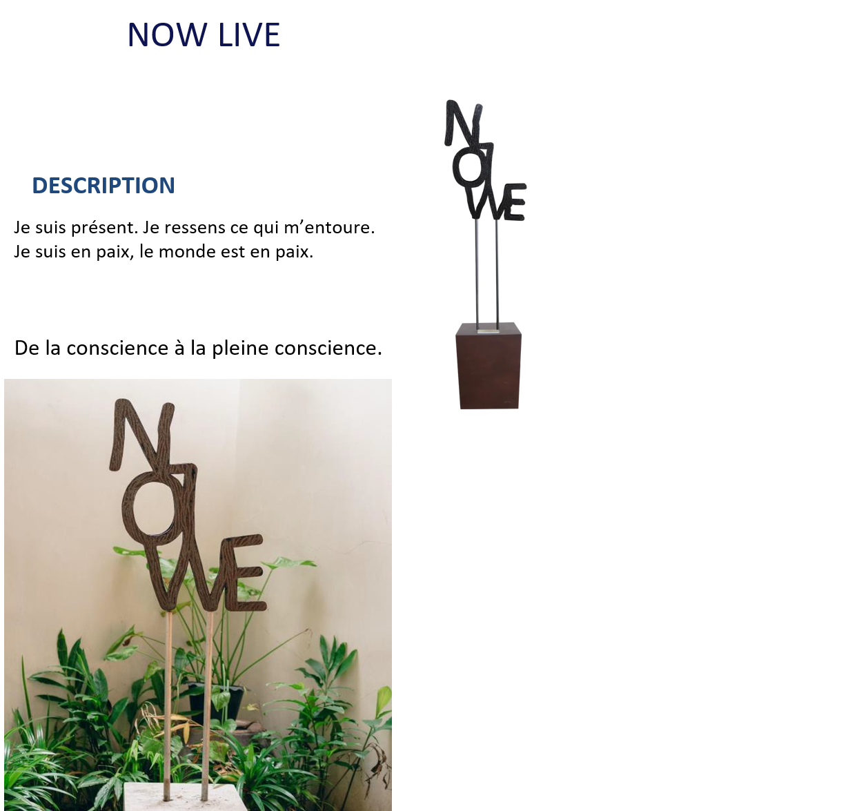 Sculpture en métal de Francois Renno